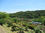 2024年(令和6年）社員旅行　栃木福島